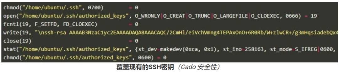 金瀚信安：P2PInfect僵尸網(wǎng)絡(luò)急速擴(kuò)張，攻擊頻率激增600倍，全球大規(guī)模入侵4